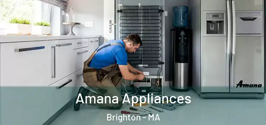  Amana Appliances Brighton - MA