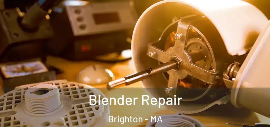  Blender Repair Brighton - MA