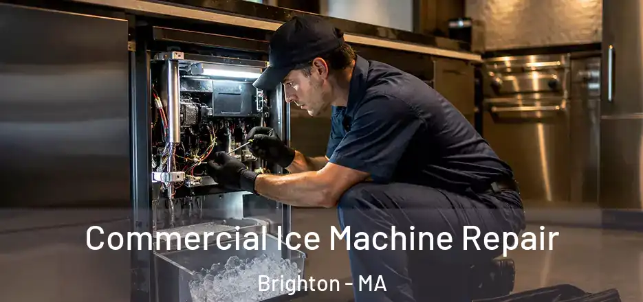  Commercial Ice Machine Repair Brighton - MA