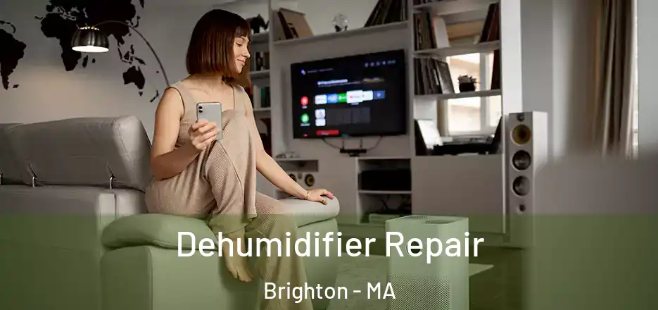  Dehumidifier Repair Brighton - MA