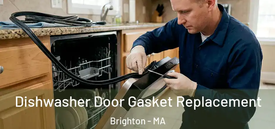  Dishwasher Door Gasket Replacement Brighton - MA