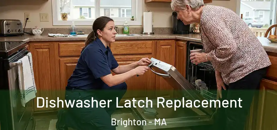 Dishwasher Latch Replacement Brighton - MA