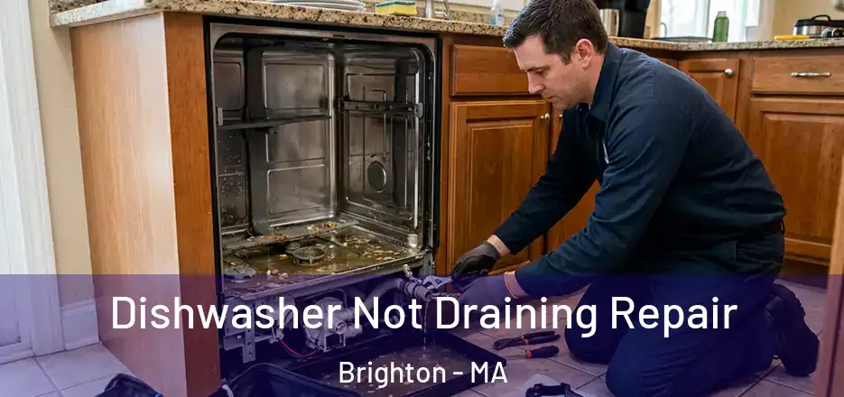  Dishwasher Not Draining Repair Brighton - MA