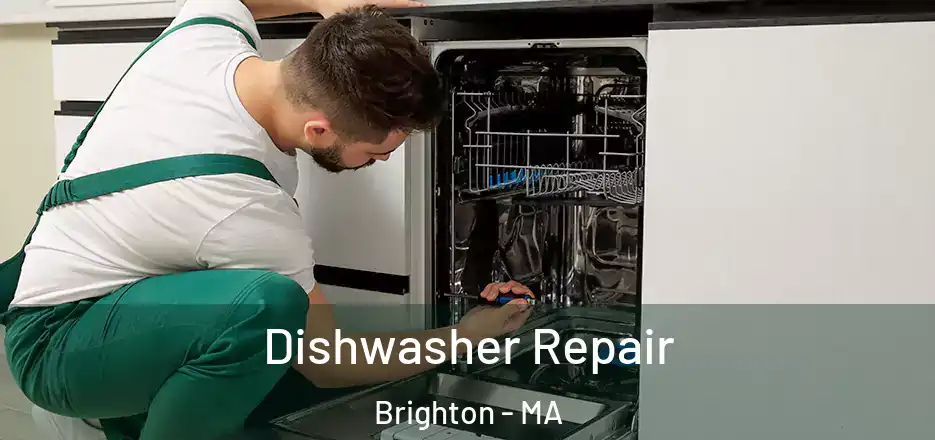  Dishwasher Repair Brighton - MA