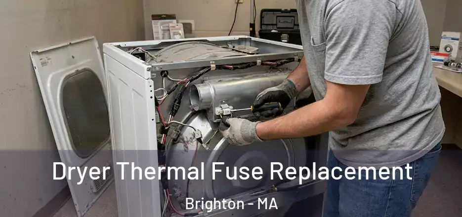  Dryer Thermal Fuse Replacement Brighton - MA