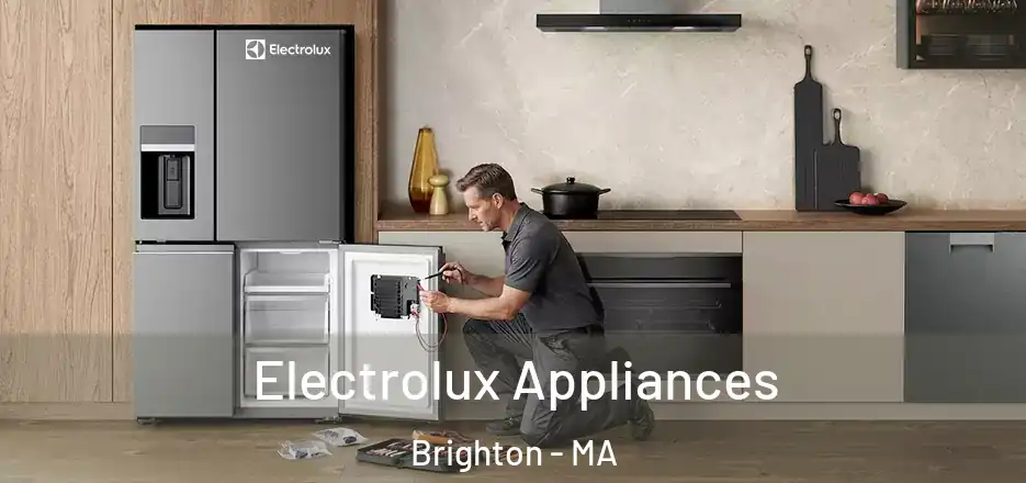  Electrolux Appliances Brighton - MA