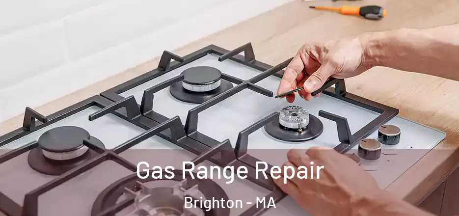  Gas Range Repair Brighton - MA