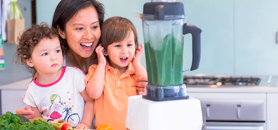 Juicer and Mixer Blender Repair in Brighton 