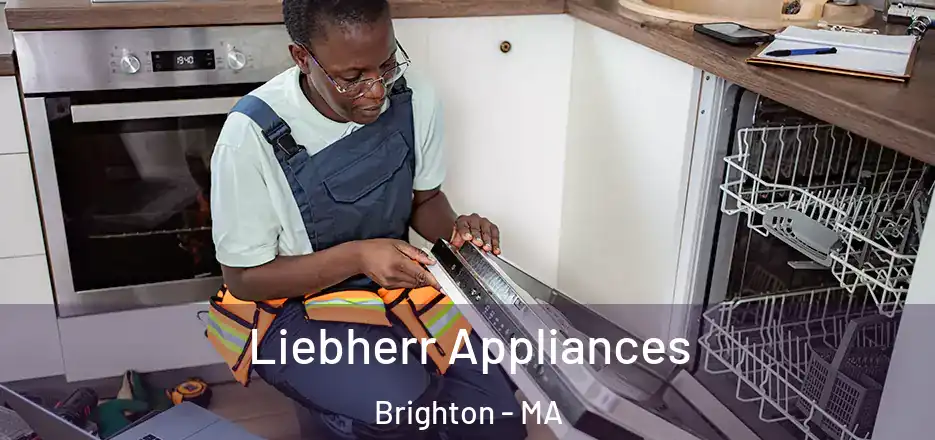 Liebherr Appliances Brighton - MA