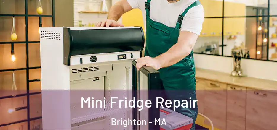  Mini Fridge Repair Brighton - MA