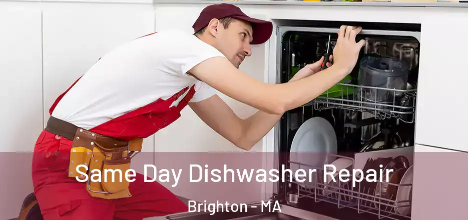  Same Day Dishwasher Repair Brighton - MA
