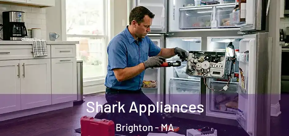  Shark Appliances Brighton - MA