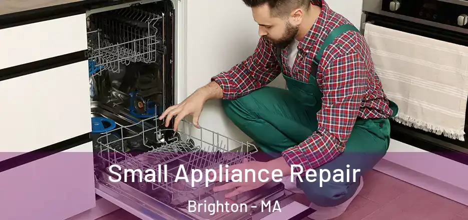 Small Appliance Repair Brighton - MA