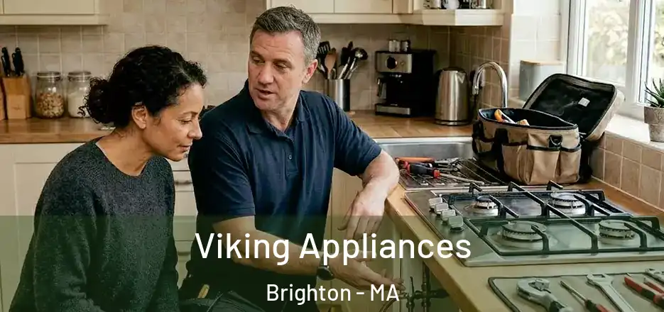  Viking Appliances Brighton - MA