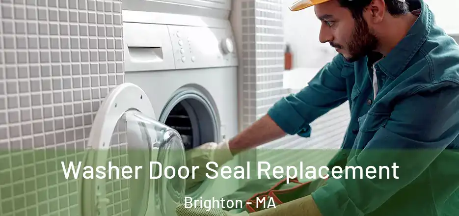 Washer Door Seal Replacement Brighton - MA